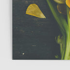 Spring Tulip Flowers Poster Gallery Image 3