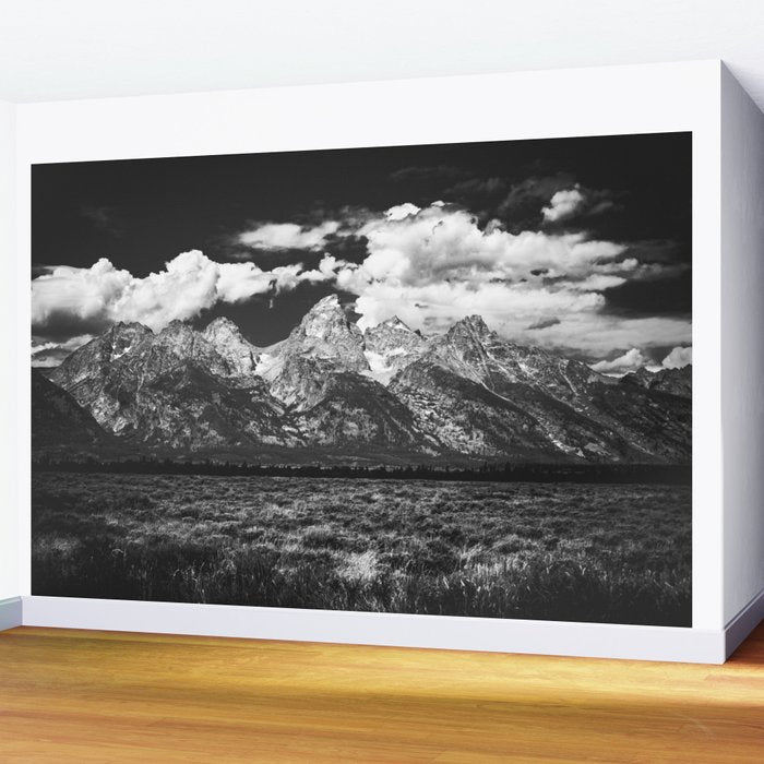 Mountain Summer Escape - Black and White Tetons Wall Mural Gallery Image 2