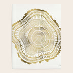Gold Tree Rings Poster Gallery Image 4