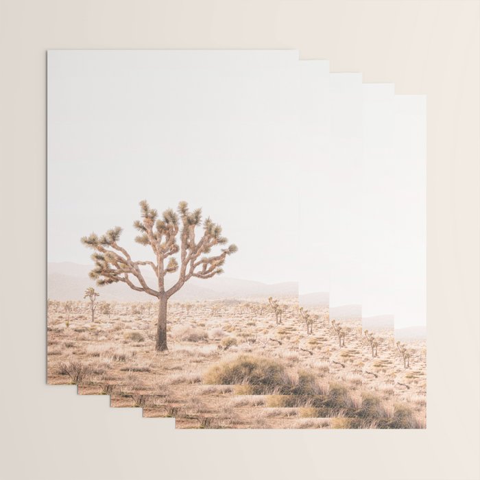 Yucca Wrapping Paper Gallery Image 3