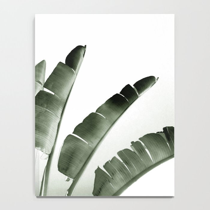 Traveler palm Notebook Gallery Image 4