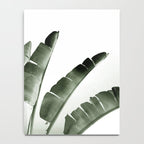 Traveler palm Notebook Gallery Image 4