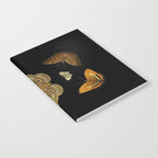 Moths Butterflies In Darkness Vintage Scientific Illustration Encyclopedia Diagram Notebook Gallery Image 2