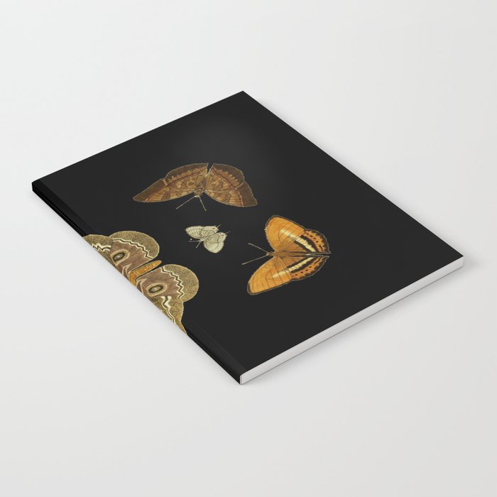Moths Butterflies In Darkness Vintage Scientific Illustration Encyclopedia Diagram Notebook Gallery Image 2