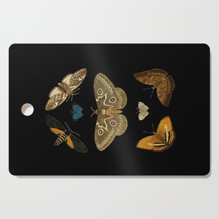 Moths Butterflies In Darkness Vintage Scientific Illustration Encyclopedia Diagram Cutting Board Gallery Image 1
