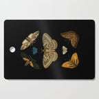 Moths Butterflies In Darkness Vintage Scientific Illustration Encyclopedia Diagram Cutting Board Gallery Image 1