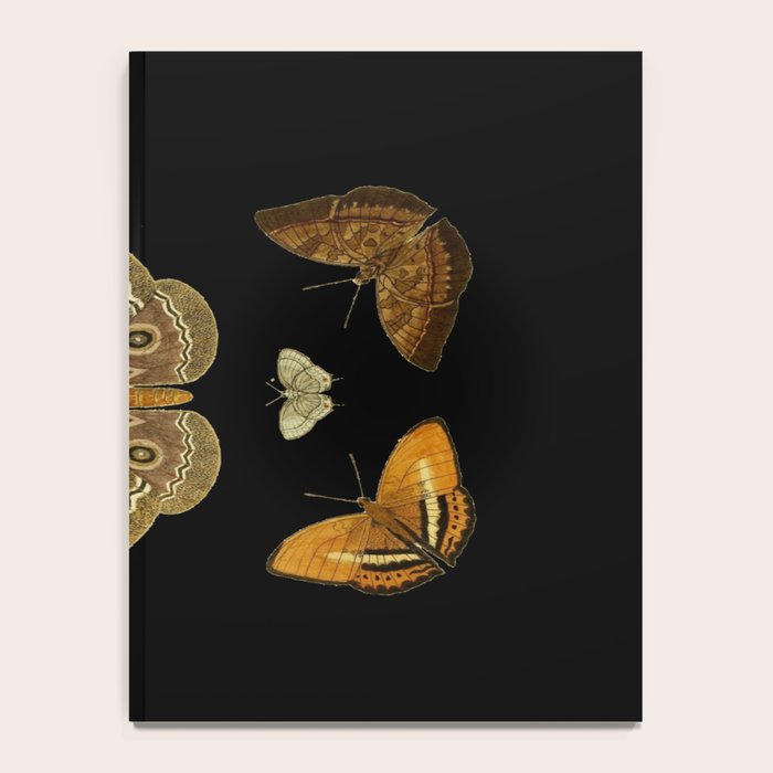 Moths Butterflies In Darkness Vintage Scientific Illustration Encyclopedia Diagram Notebook Gallery Image 4