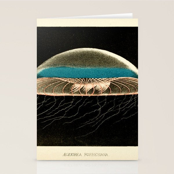 Jellyfish from "A Naturalist's Rambles on the Devonshire Coast" by Philip Henry Gosse, 1853 (benefitting The Nature Conservancy) Stationery Card Gallery Image 2