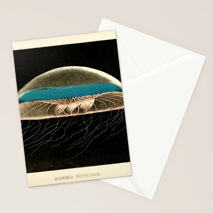 Jellyfish from "A Naturalist's Rambles on the Devonshire Coast" by Philip Henry Gosse, 1853 (benefitting The Nature Conservancy) Stationery Card Gallery Image 2