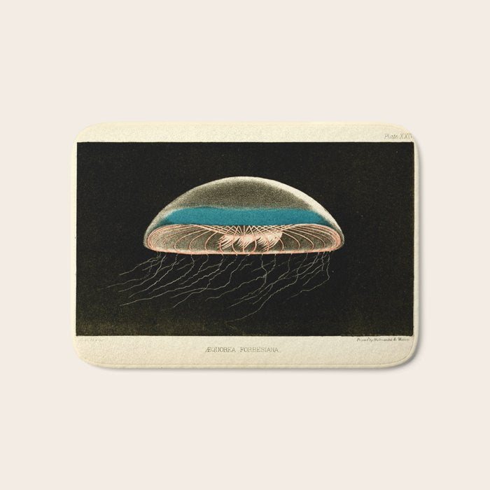 Jellyfish from "A Naturalist's Rambles on the Devonshire Coast" by Philip Henry Gosse, 1853 (benefitting The Nature Conservancy) Bath Mat Gallery Image 1