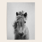 Wild Horse - Black & White Poster Gallery Image 4