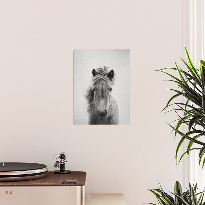Wild Horse - Black & White Poster Gallery Image 2