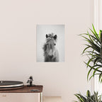 Wild Horse - Black & White Poster Gallery Image 2