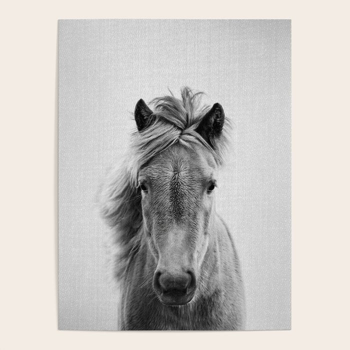 Wild Horse - Black & White Poster Gallery Image 1