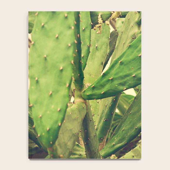 Southwest Desert Cactus Notebook Gallery Image 4