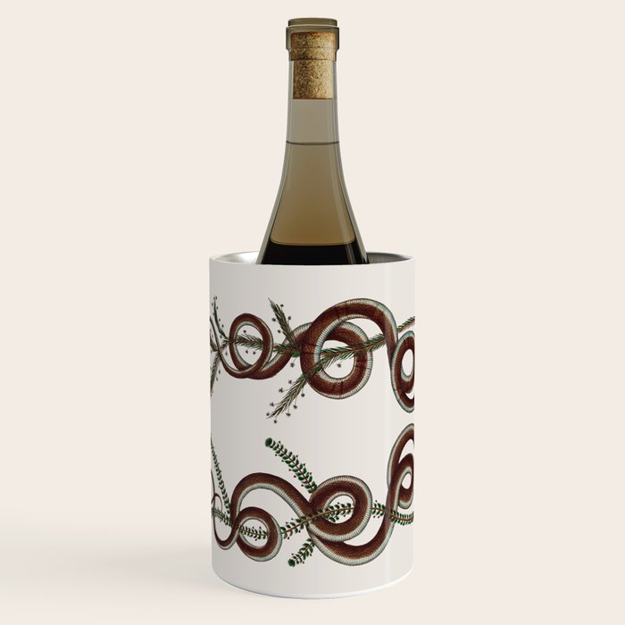 Albertus Seba Snakes  Double Spiral Vines  Wine Chiller Gallery Image 1