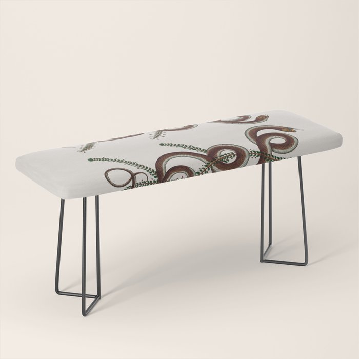 Albertus Seba Snakes  Double Spiral Vines  Bench Gallery Image 1