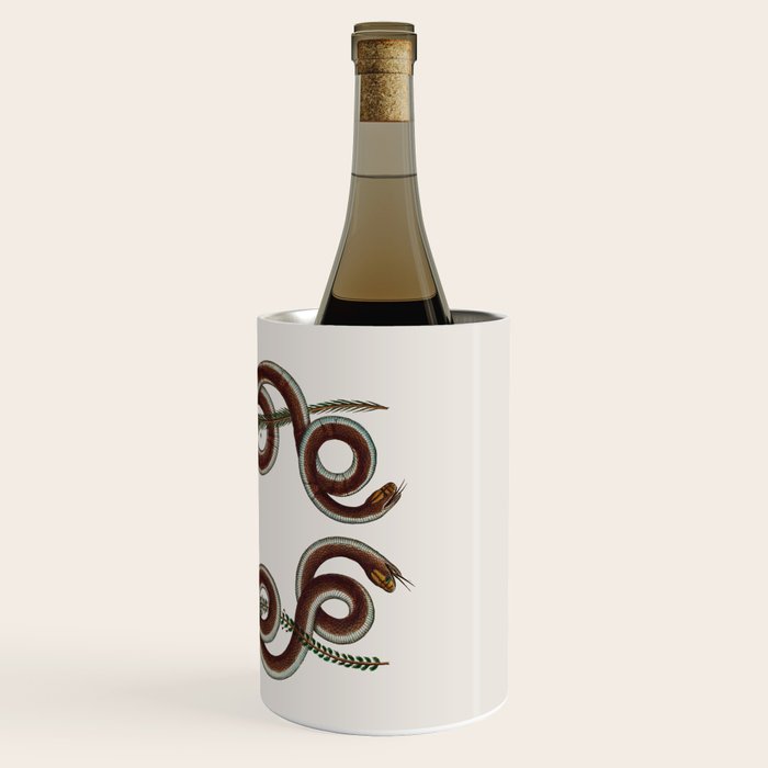 Albertus Seba Snakes  Double Spiral Vines  Wine Chiller Gallery Image 3
