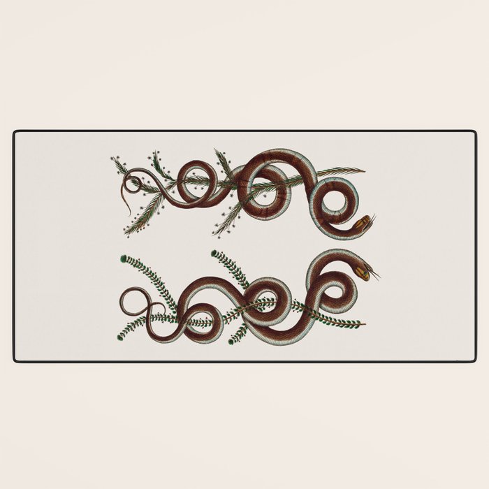 Albertus Seba Snakes  Double Spiral Vines  Desk Mat Gallery Image 3