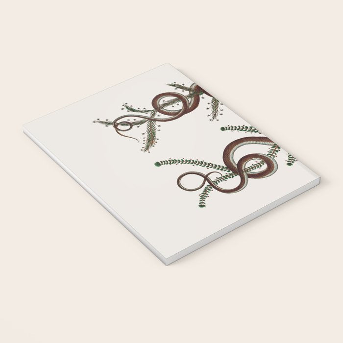 Albertus Seba Snakes  Double Spiral Vines  Notebook Gallery Image 3