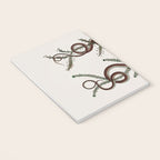 Albertus Seba Snakes  Double Spiral Vines  Notebook Gallery Image 3