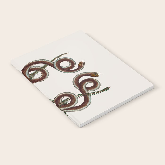 Albertus Seba Snakes  Double Spiral Vines  Notebook Gallery Image 1