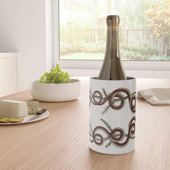 Albertus Seba Snakes  Double Spiral Vines  Wine Chiller Gallery Image 4