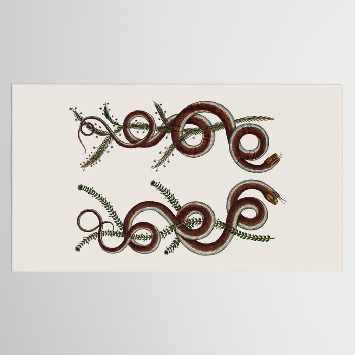 Albertus Seba Snakes  Double Spiral Vines  Tablecloth Gallery Image 2