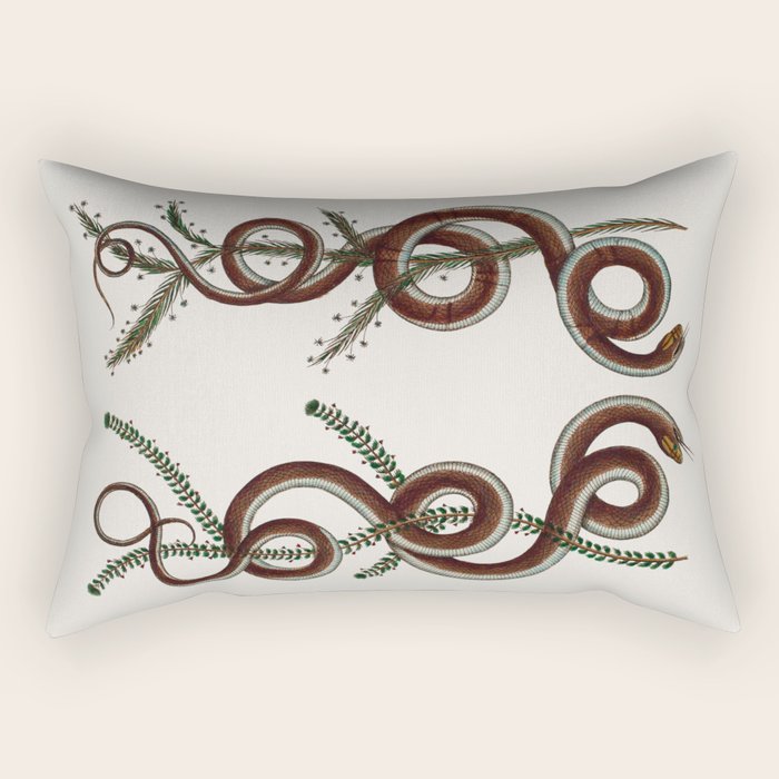 Albertus Seba Snakes  Double Spiral Vines  Rectangular Pillow Gallery Image 2
