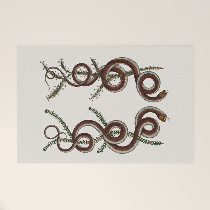 Albertus Seba Snakes  Double Spiral Vines  Welcome Mat Gallery Image 1