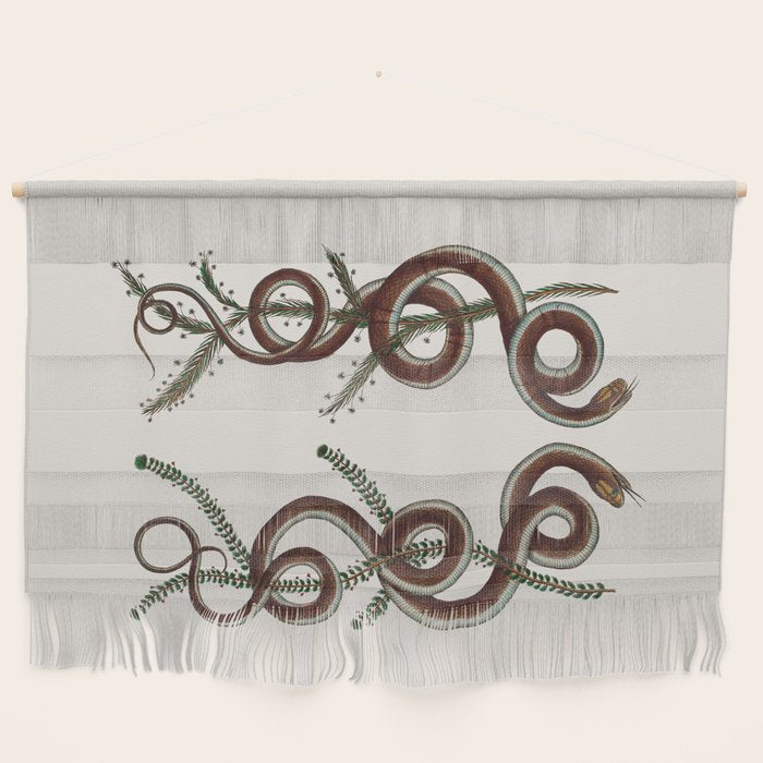 Albertus Seba Snakes  Double Spiral Vines  Wall Hanging Gallery Image 1