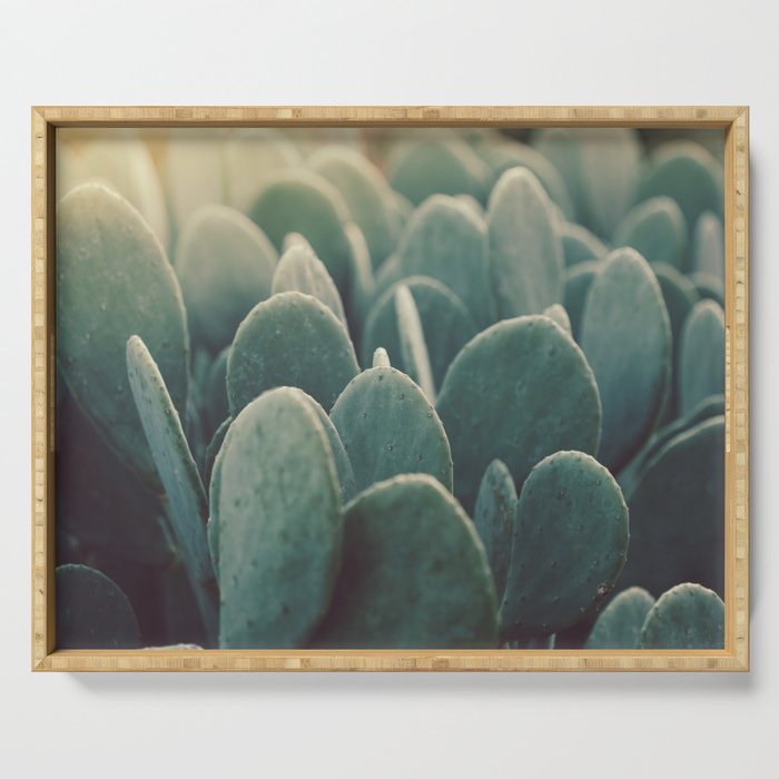 Green + Gold Serving Tray Gallery Image 1