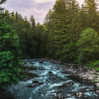 PNW River Run II - Pacific Northwest Nature Photography Coffee Mug Gallery Image 2