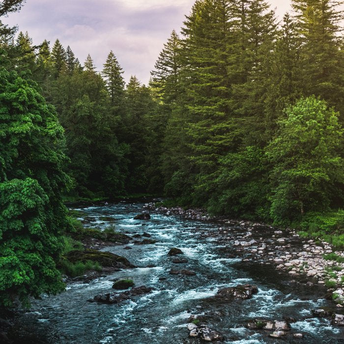 PNW River Run II - Pacific Northwest Nature Photography Coffee Mug Gallery Image 2