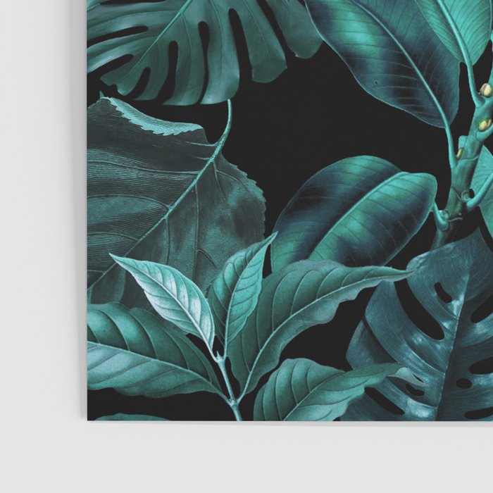 Tropical Garden Poster Gallery Image 3