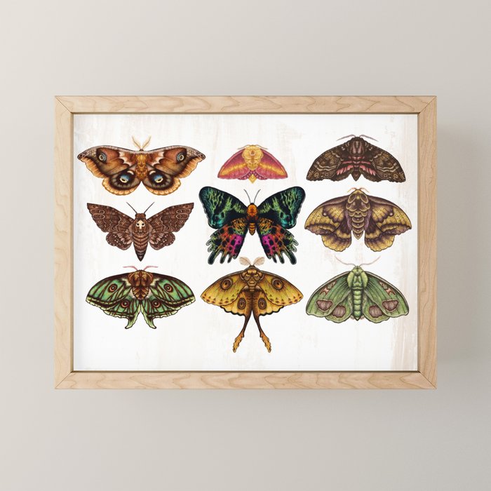 Moth Wings III Mini Art Print Gallery Image 1