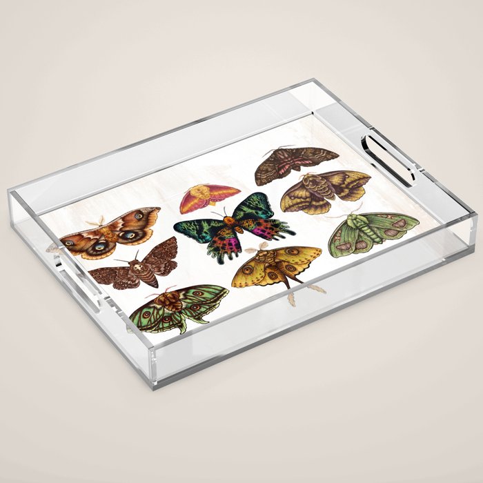Moth Wings III Acrylic Tray Gallery Image 1