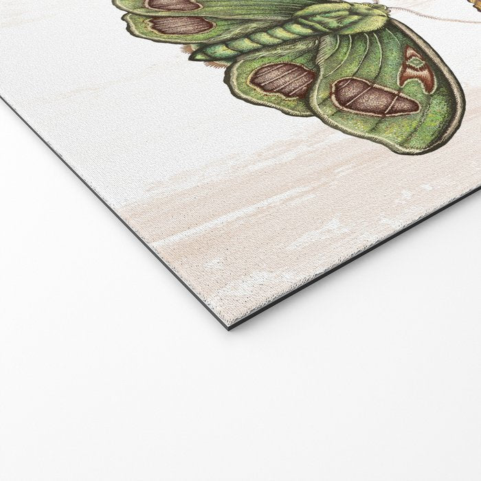 Moth Wings III Welcome Mat Gallery Image 2
