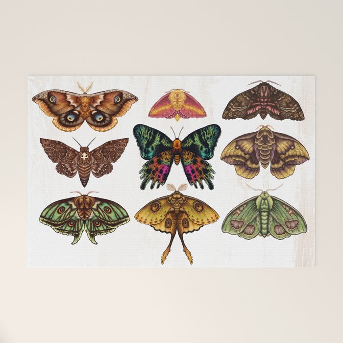 Moth Wings III Welcome Mat Gallery Image 1