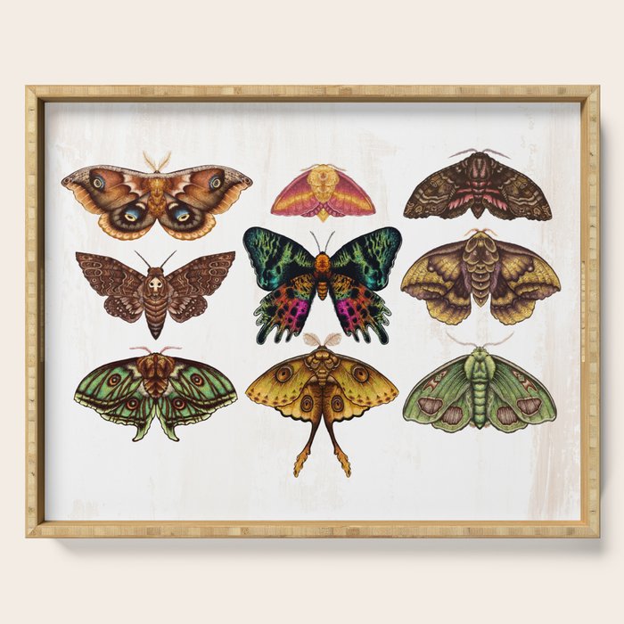 Moth Wings III Serving Tray Gallery Image 1