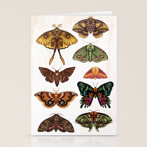 Moth Wings III Stationery Card Gallery Image 2