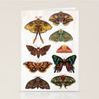 Moth Wings III Stationery Card Gallery Image 2