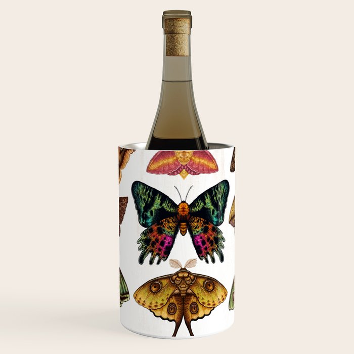 Moth Wings III Wine Chiller Gallery Image 1