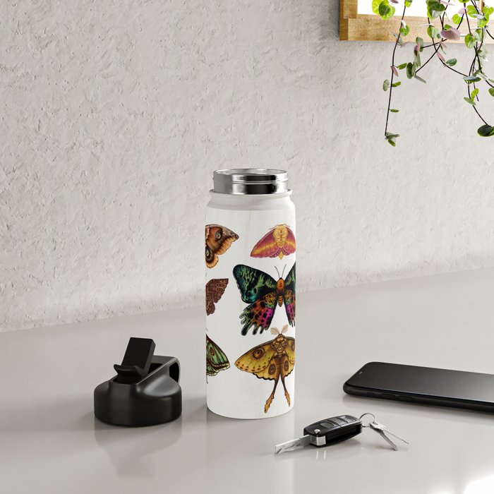 Moth Wings III Water Bottle Gallery Image 4