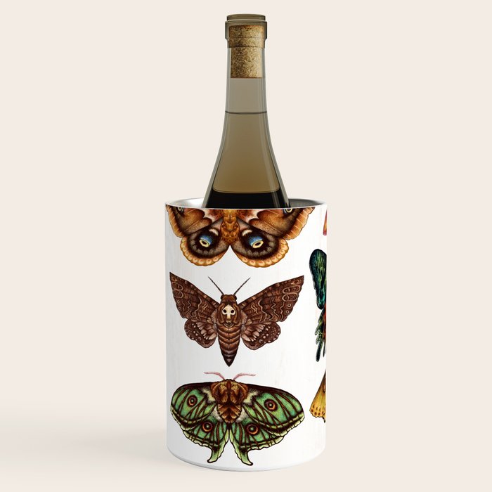 Moth Wings III Wine Chiller Gallery Image 2