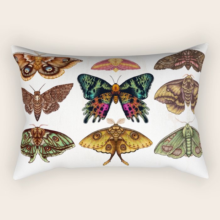 Moth Wings III Rectangular Pillow Gallery Image 1