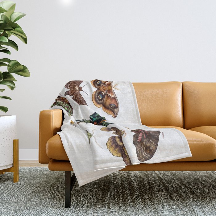 Moth Wings III Throw Blanket Gallery Image 1