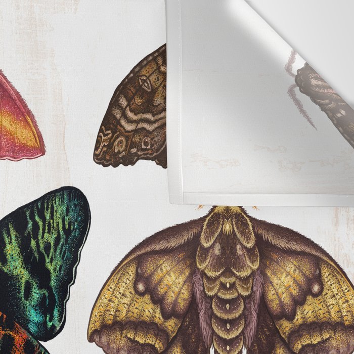 Moth Wings III Wall Tapestry Gallery Image 3