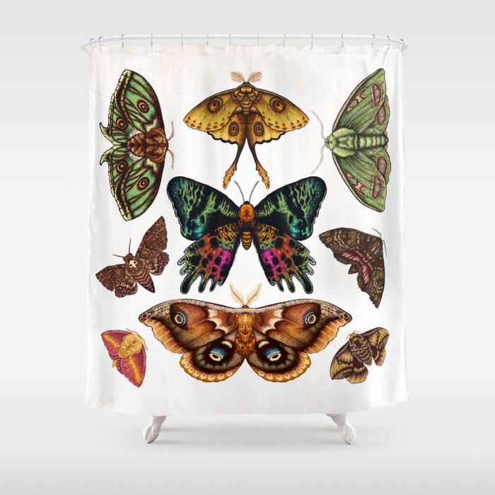 Moth Wings III Shower Curtain Gallery Image 1
