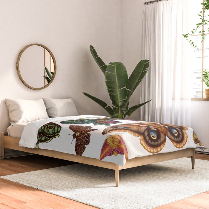 Moth Wings III Comforter Gallery Image 2